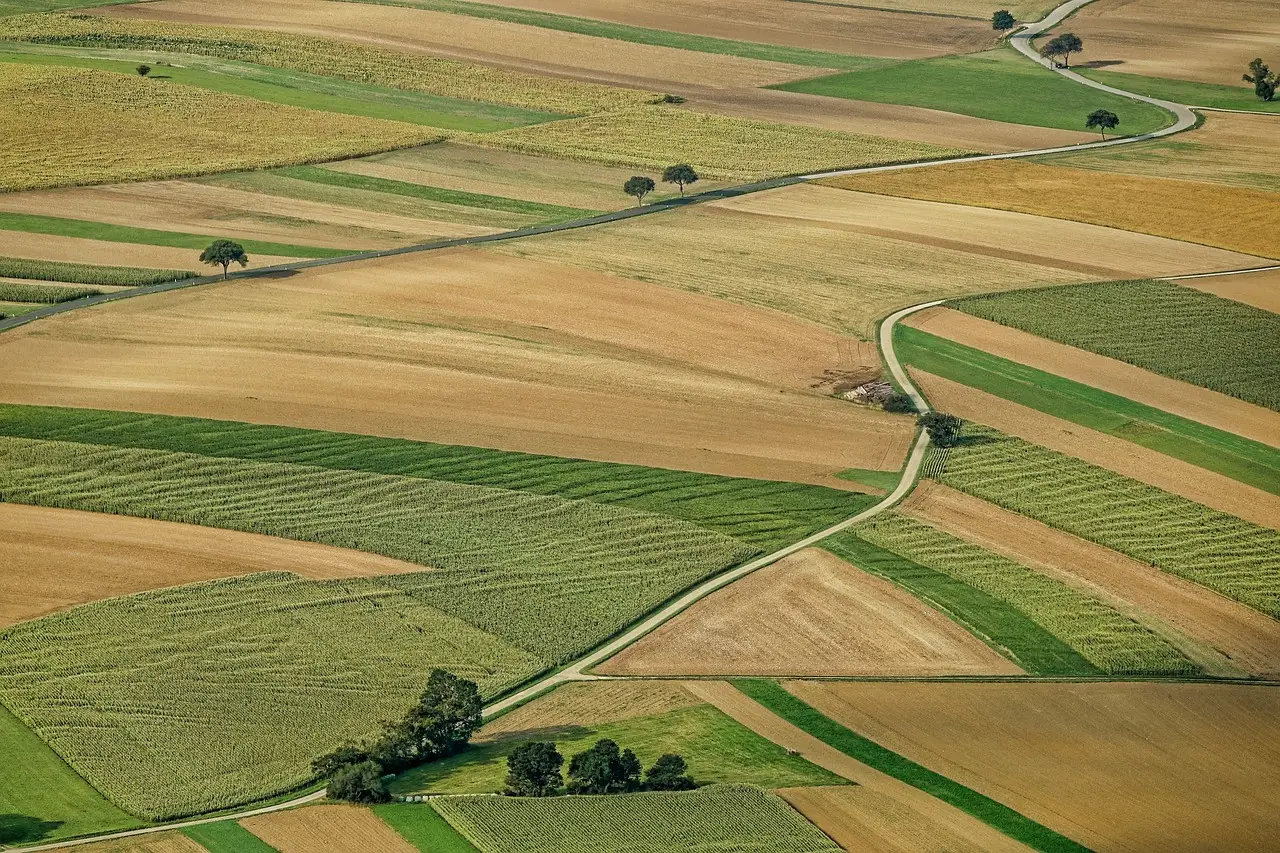 agriculture 3195381 1280
