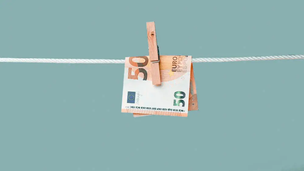 Ovrha na placi izuzece od ovrhe zasticeni iznos Alineja 1